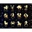 Understanding Zodiac Signs Constellations