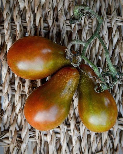 Cherry Tomato Seeds Tomato Black Pear Seeds Heirloom Etsy