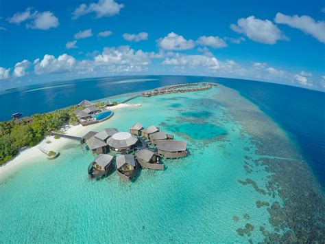 Lily Beach Resort The Maldives Experts For All Resort Hotels And