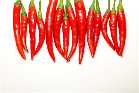 Red Chili Peppers On White Background Isolated Fresh Hot Chili Stock