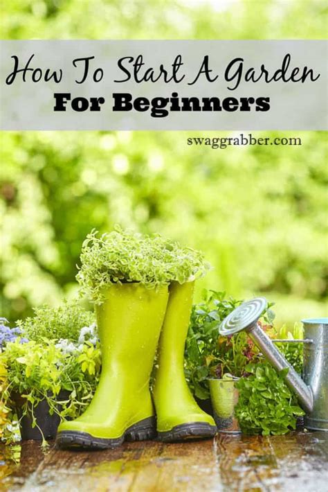 How To Start A Garden For Beginners Swaggrabber