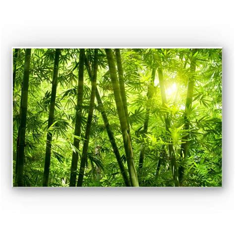 Hartschaum Wandbild Sonnenschein Im Bambuswald Wall Artde