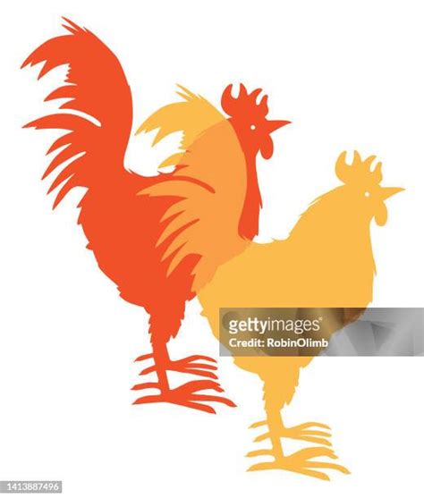 The Two Cocks Photos And Premium High Res Pictures Getty Images