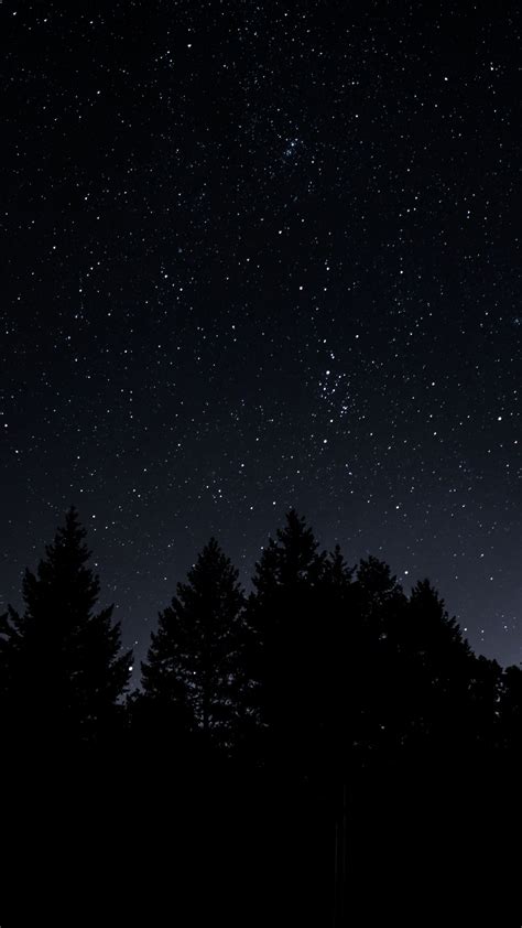 Download Wallpaper 1350x2400 Starry Sky Trees Night Radiance Iphone