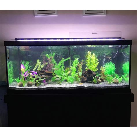 Either a ceiling mount or ugly looking bracket mount are your standard choices. NICREW ClassicLED Aquarium Light, Fish Tank Light with Extendable Brackets, 711176176986 | eBay