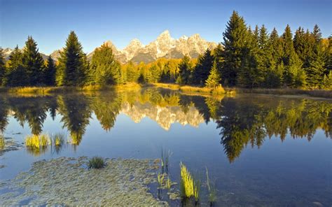Online Crop Green Pine Tree Nature Water Mountains Reflection Hd