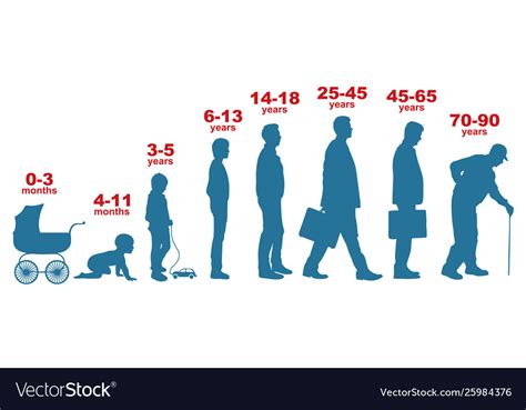 Human Life Cycle Man People Different Age Stages Vector Image Sexiz Pix