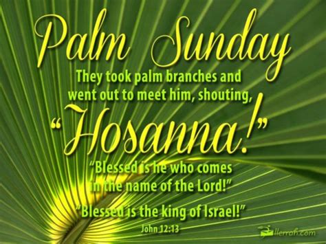 All About Palm Sunday Hubpages