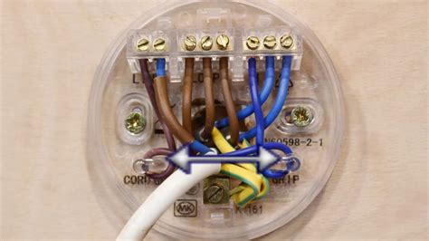 Ceiling Rose Electrical Wiring Shelly Lighting