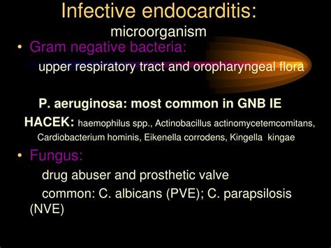 Ppt Infective Endocarditis Powerpoint Presentation Free Download Id 5330854