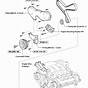 2008 Toyota Sienna 3.5 Belt Diagram