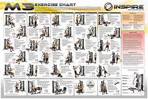 Gym Workout Chart Workout Chart Total Gym Exercise Chart