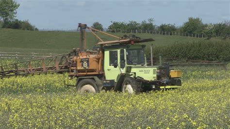 Combine Harvester Gathers The Wheat Crop Stock Footage Video 531472