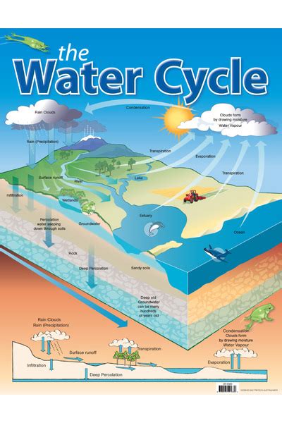 The Water Cycle Chart Australian Teaching Aids Educational Resources