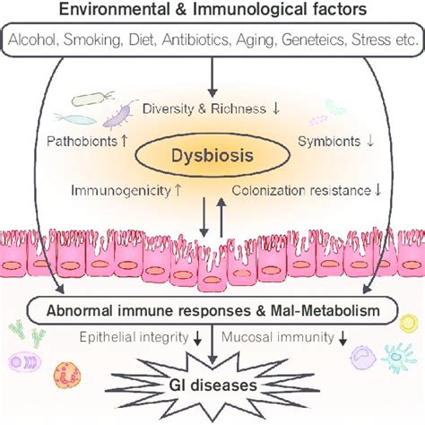 The Pathogenic Role Of The Gut Microbiota In Gastrointestinal Gi