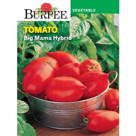 Burpee Big Mama Hybrid Tomato Vegetable Seed 1 Pack