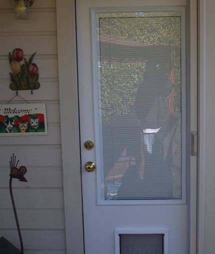 ¾ Lite Door With Built In Pet Door And Mini Blinds Bernuley Built In