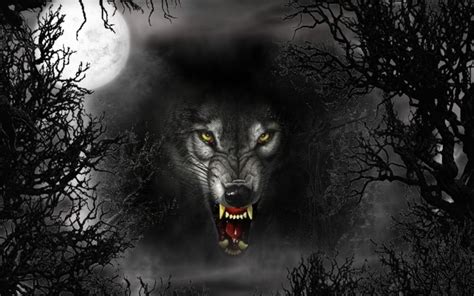 Cool Fire Wolf Wallpapers Top Free Cool Fire Wolf Backgrounds