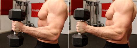 Which Grip Is Best For Dumbbell Hammer Curl Muscular Strength