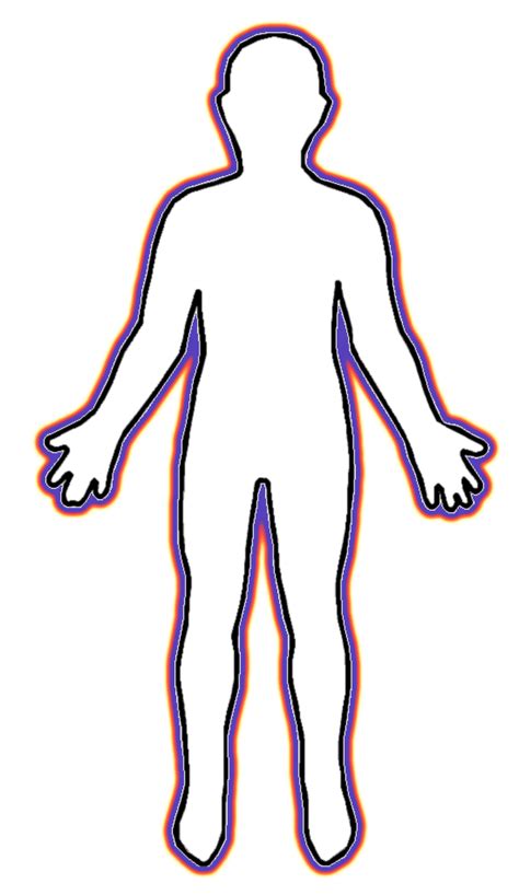 Blank Human Body Diagram Clipart Best