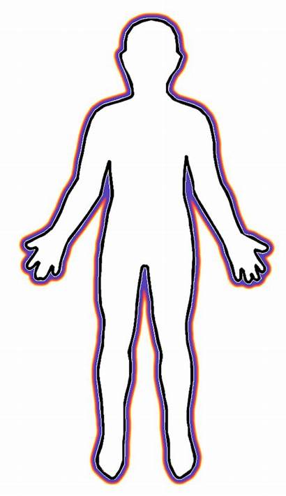 Anatomy Human Clipart Cliparts Clip Library Cbt