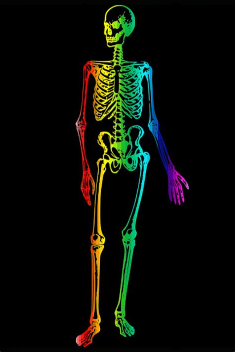 Rainbow Skeleton I By Thelastflowerchild On Deviantart Skeleton