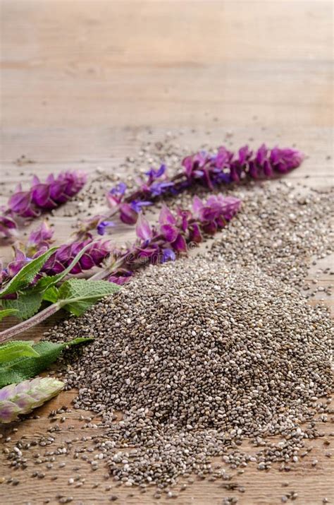 Chia Seeds Healthy Superfood With Flower Stock Image Image Of Healing