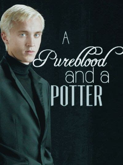 A Pureblood And A Potter Draco Malfoy X Reader