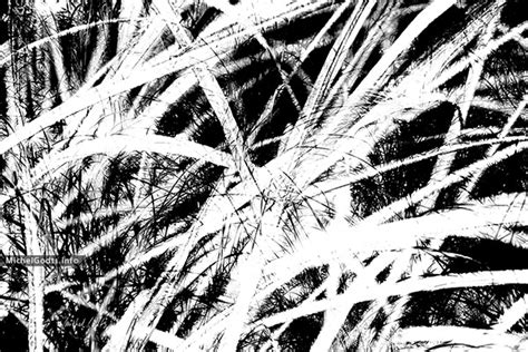 Grass Expression 1 Abstract Expressionism Art From