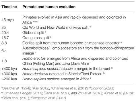 Frontiers Origins And Evolution Of The Primate Hepatitis B Virus