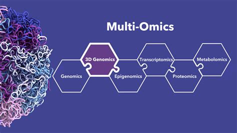 How 3d Genomics Can Strengthen Your Multi Omics Approach To Scientific