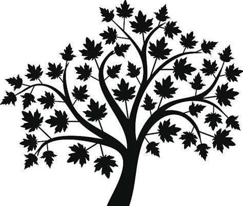 Maple Tree Clip Art Vector Images And Illustrations Istock