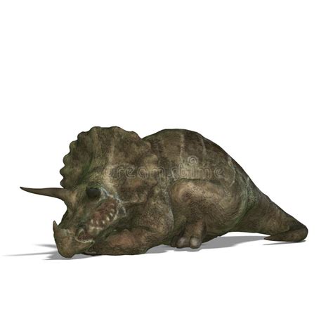 Triceratops Del Dinosaurio Stock De Ilustración Ilustración De