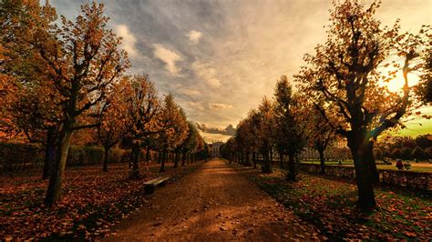 1366x768 Autumn Trees Path Laptop Hd Hd 4k Wallpapersimages