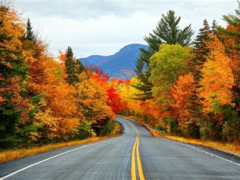 2022 Fall Foliage Peak Map Use Interactive Tool To Plan Leaf Tours