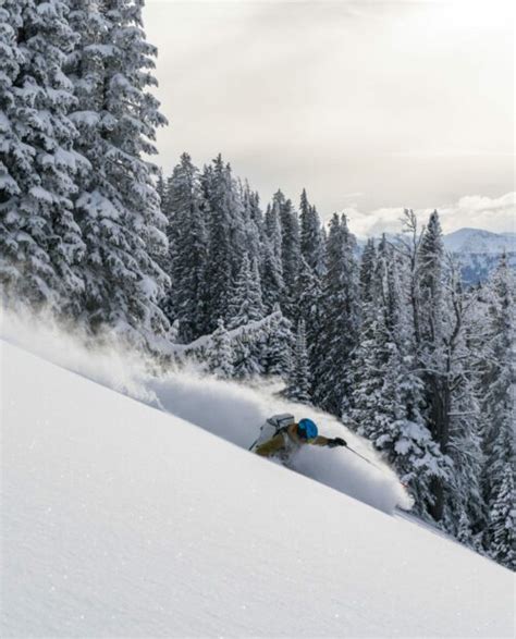 Guided Adventures In Grand Teton National Park 57hours