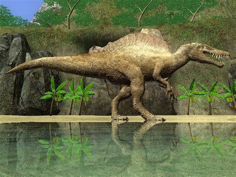 Spinosaurus Wiki Prehistoripedia Fandom Powered By Wikia