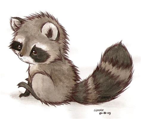 Quick And Easy Tutorial For Drawing Cute Raccoon Artworks