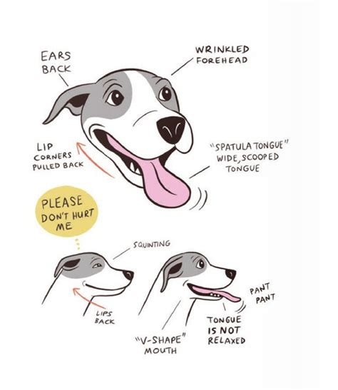 Dog Ear Positions Chart