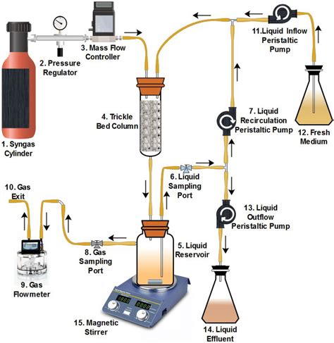 Bioreactor Process Flow Diagram The Basic Parts Of The Lab Scale