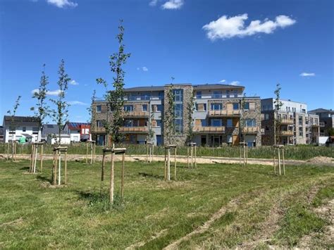 Aktuell befinden sie sich auf der ergebnisliste zu wohnungen mit einem suchradius von 50km. NEUBAU - barrierefreie Wohnung in bester Lage - Neustadt a ...