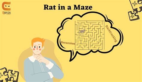 Rat In A Maze Coding Ninjas