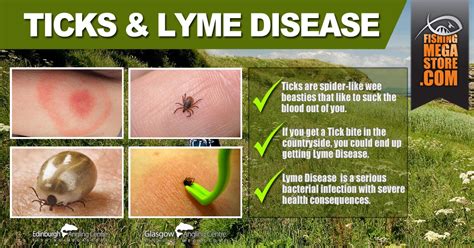 Tick Prevention And Lyme Disease