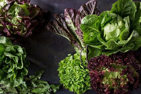 The Best Lettuces And Greens To Add To Your Salad Bowl Steak Salad