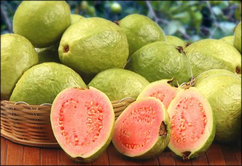 Fun Facts Of Guavas Serving Joy Inspire Through Sharing
