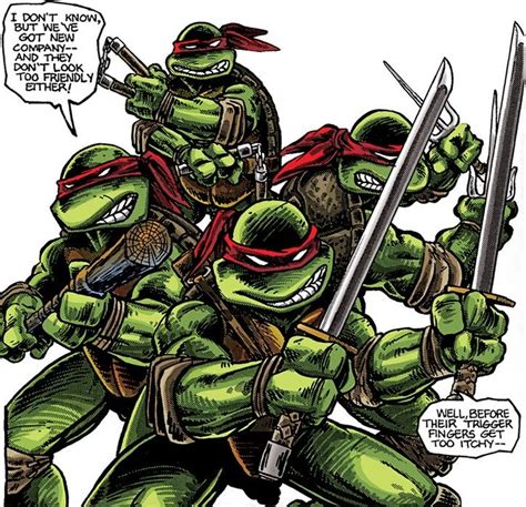 The Tmnt Ready To Fight Teenage Mutant Ninja Turtles Artwork Ninja