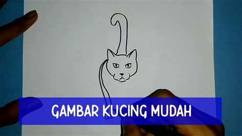 Cara Menggambar Kucing Yang Mudah Youtube