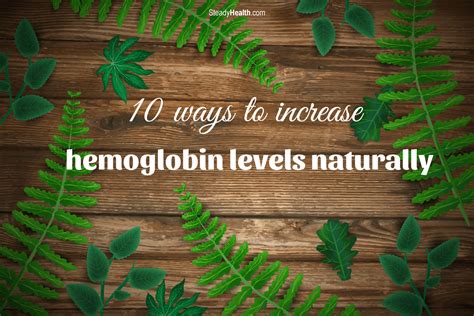 Easy Step Increase Hemoglobin Levels A Comprehensive Guide Publicnesia