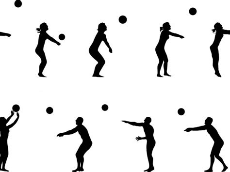 These 5 basic skills of drawing make up the components of a finished work of art when put together. Basic Skills of Volleyball | Sports Collectors Classifieds ...