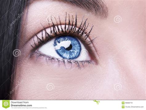 Beautiful Insightful Look Blue Woman S Eye Stock Image Image Of